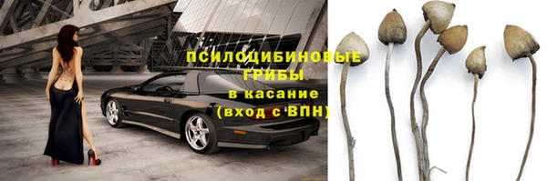 ПСИЛОЦИБИНОВЫЕ ГРИБЫ Заволжье