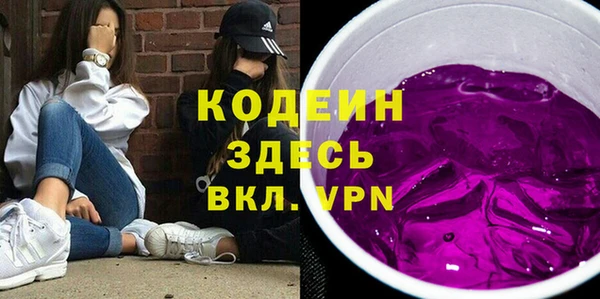 трава Инта
