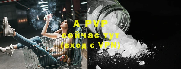 трава Инта