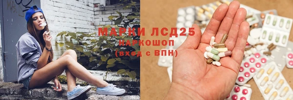 трава Инта
